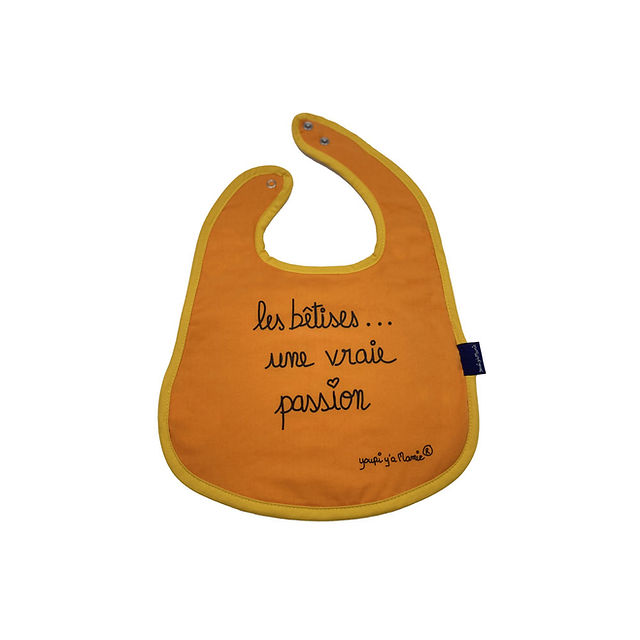 BAVOIR " Les bêtises une vraie passion "